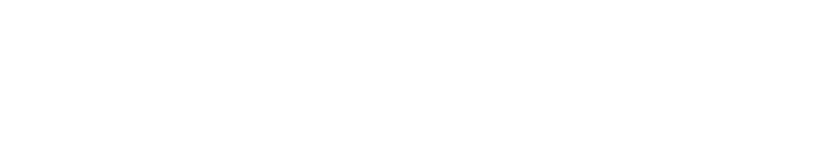 Logo White